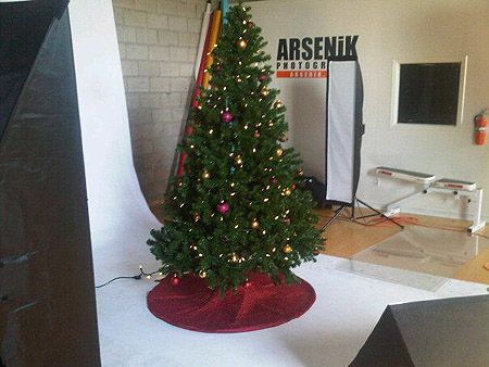 tree